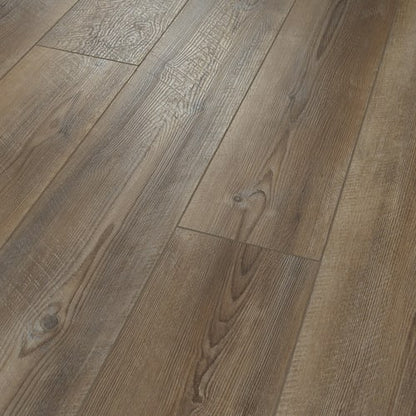 Paladin Plus in Ripped Pine