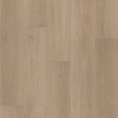 Visionary in Bentwood Tan