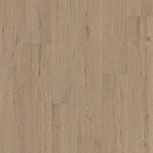 PANTHEON HD+ NATURAL BEVEL in Cabet Trails