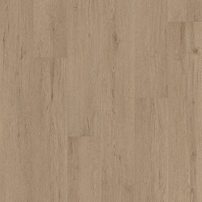 PANTHEON HD+ NATURAL BEVEL in Cabet Trails