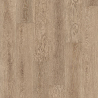 PANTHEON HD+ NATURAL BEVEL in Ponder