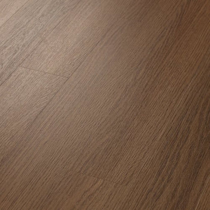Traditions in Saddle Oak