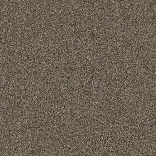 VA250 in Incognito Carpet