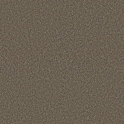 VA250 in Incognito Carpet