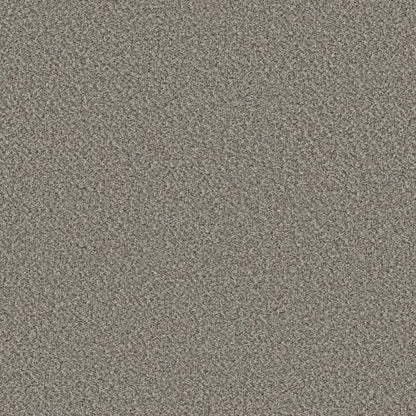 VA251 in Lunar Carpet