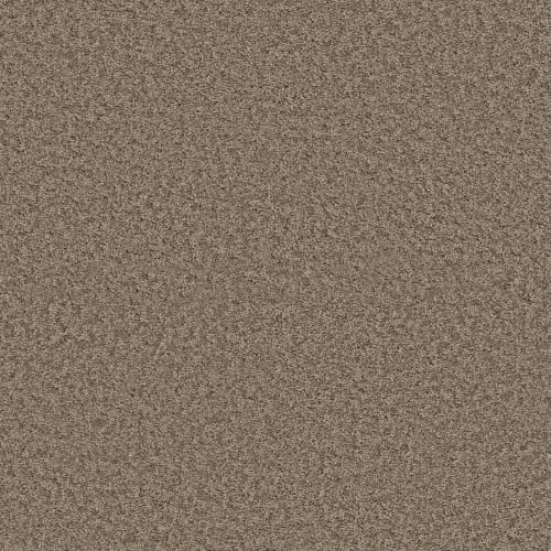 VA252 in Wild Truffle Carpet