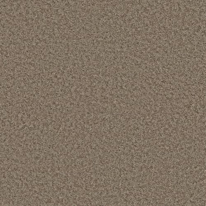 VA252 in Wild Truffle Carpet