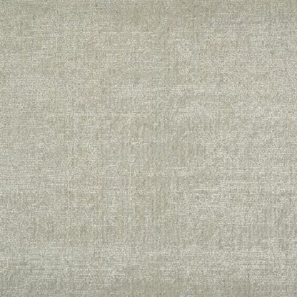 Vittorio in Oyster Carpet
