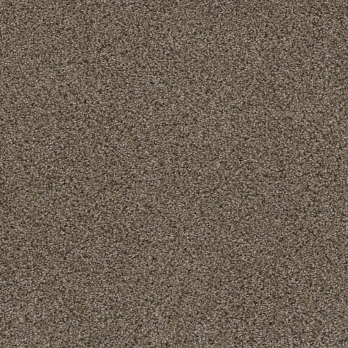 Walk in the Park in Copper Mine Carpet Tile