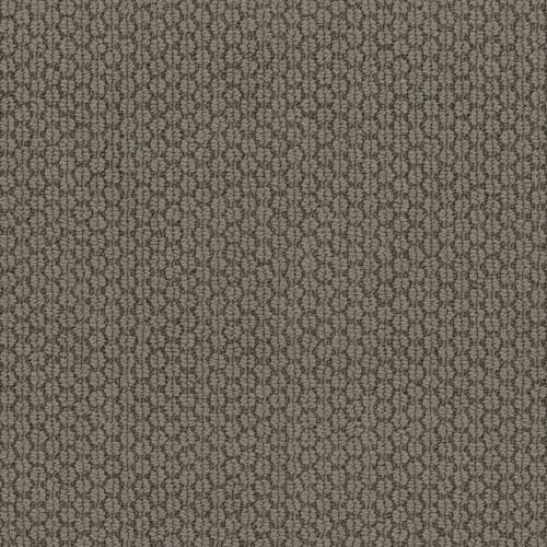 Cathedral Hill II in River Shale Carpet