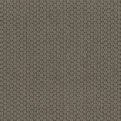 Cathedral Hill II in River Shale Carpet