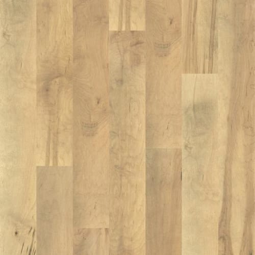 ELLISON MAPLE in Charismatic
