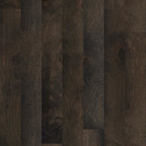 ELLISON MAPLE in Majestic Prince