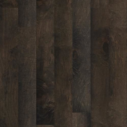 ELLISON MAPLE in Majestic Prince