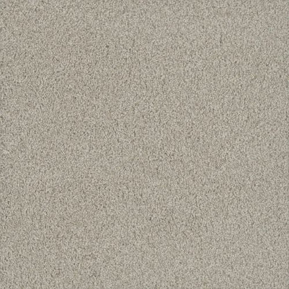 No Limits I in Aspen Glow Carpet