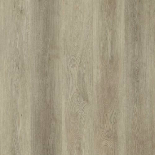 Sun Valley in Beach Wood
