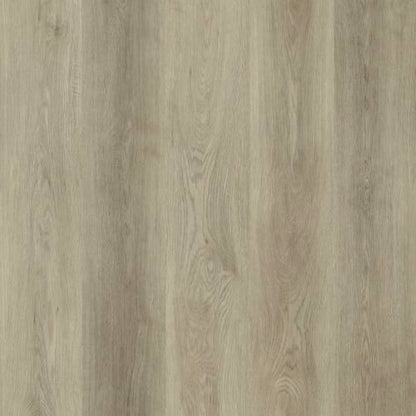 Sun Valley in Beach Wood