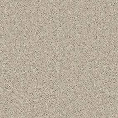 All Star Weekend I 12'