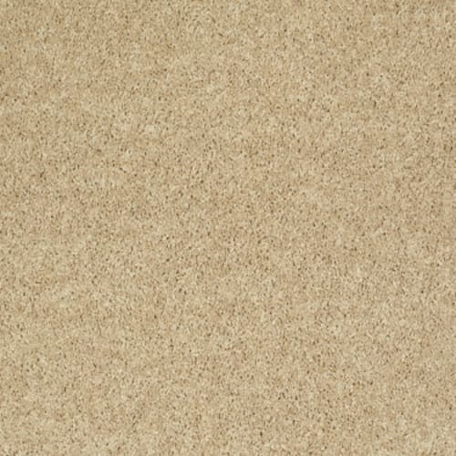 All Star Weekend III 12' in Crumpet Carpet