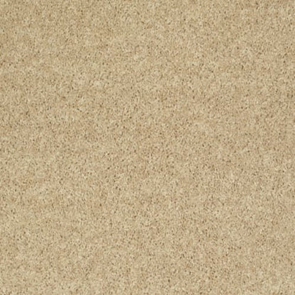 All Star Weekend III 12' in Crumpet Carpet
