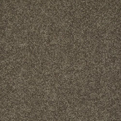 My Choice I
