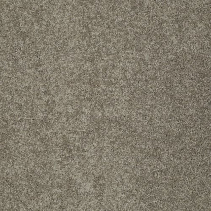 My Choice II