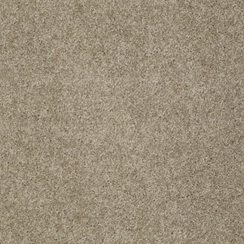 My Choice II in Cappuccino Carpet