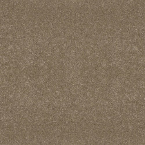 BASIC RULES in Gold Rush Carpet