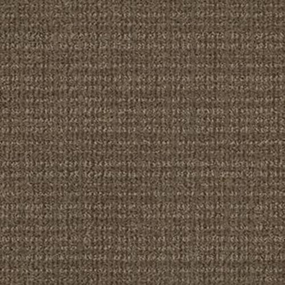 SENSIBLE NOW in Antique Chest Carpet