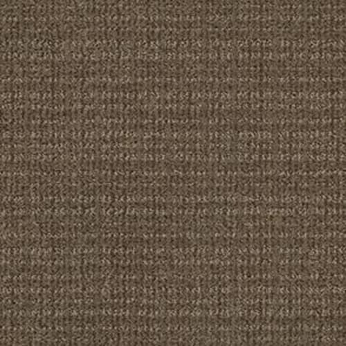 SENSIBLE NOW in Antique Chest Carpet