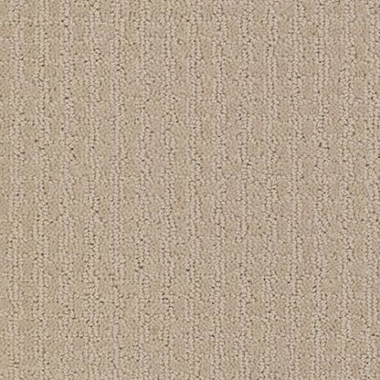 COMPLETE CONTROL in Boutique Carpet