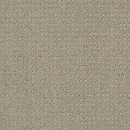 PERPETUAL MOVE in Lady In Gray Carpet