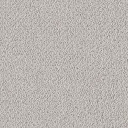 SMART THINKING in Lady In Gray Carpet