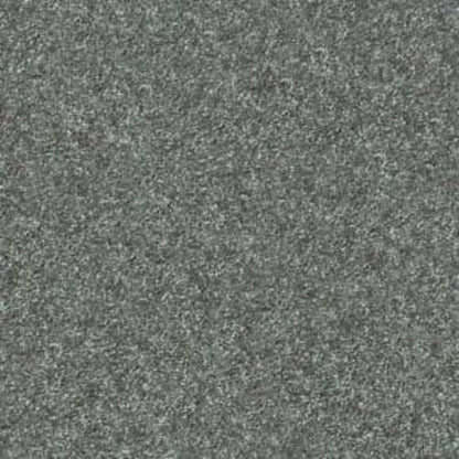 Dakota Springs in Caribbean Carpet