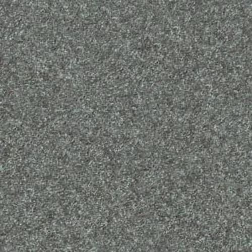 Dakota Springs in Caribbean Carpet