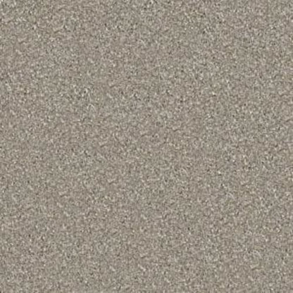 Majority Rules in Mocha Cream Carpet