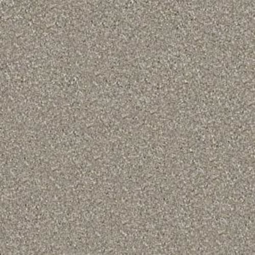 Majority Rules in Mocha Cream Carpet