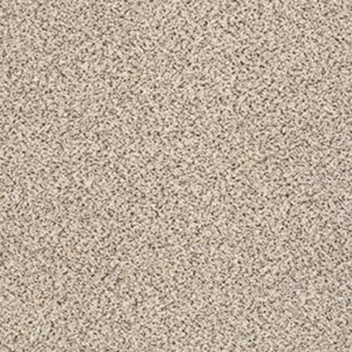 PLATINUM TEXTURE ACCENTS in Bistro Carpet