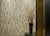 Ebb and Flow in Flora And Fauna Linear Mix Glass Tile
