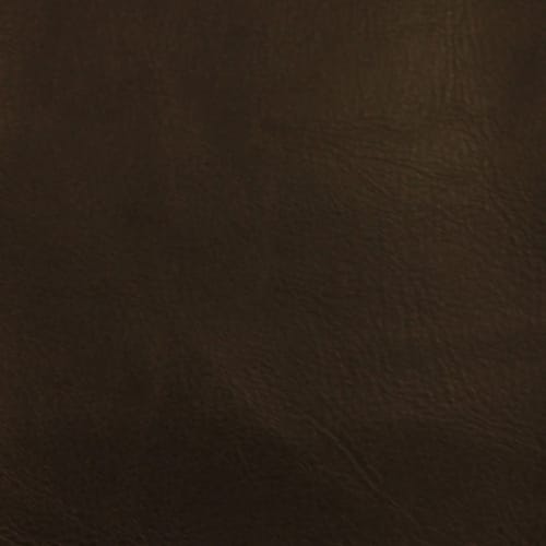 Leather Essence in Chocolate Carpet