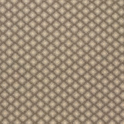 Matisse in Quicksilver Carpet