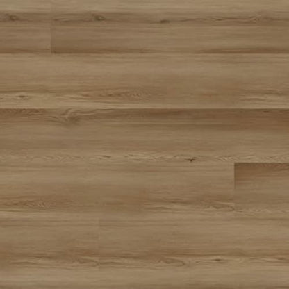 North Forest Collection in Oman Beige