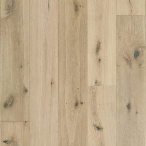 Latitude Collection - Sanctuary in Shell