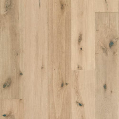 Latitude Collection - Sanctuary in Shell