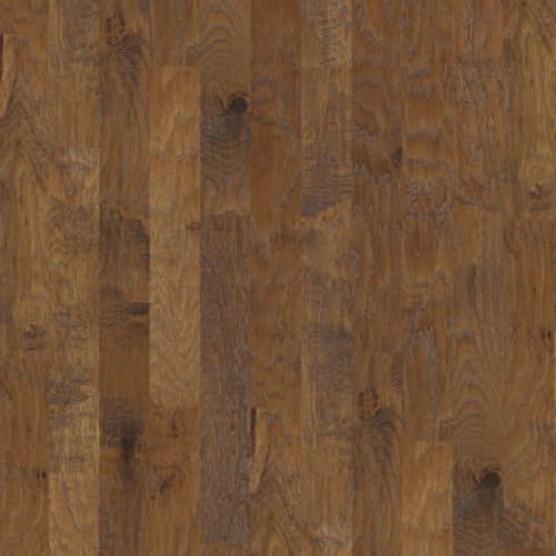 Sequoia Hickory 5 in Woodlake