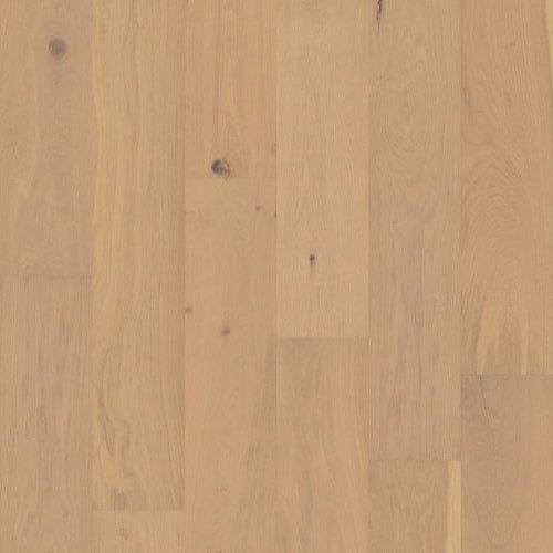 COUTURE OAK in Champagne