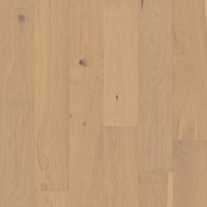 COUTURE OAK in Champagne