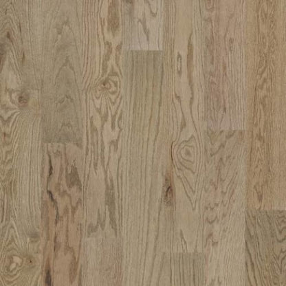 EXPLORATION OAK in Voyage